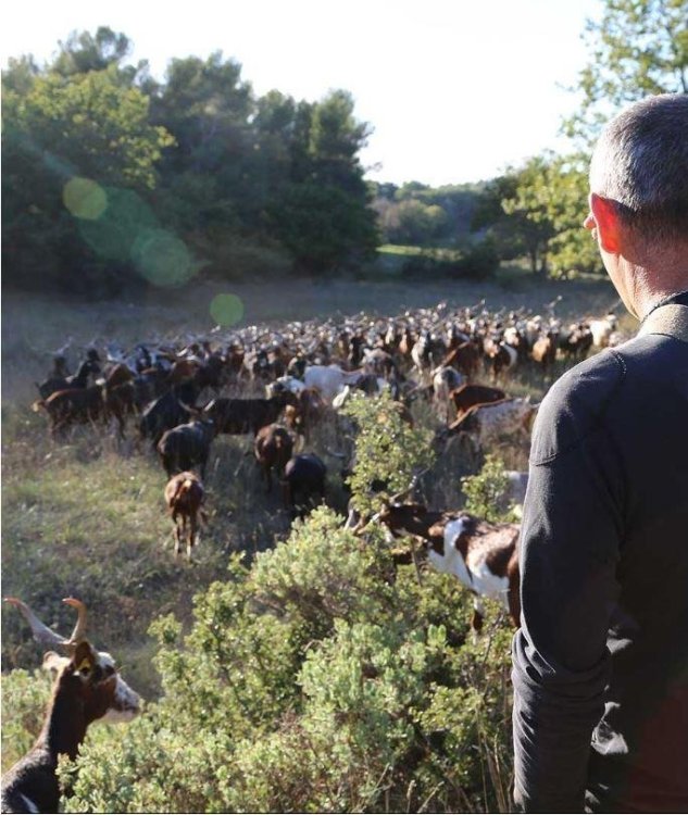 CITIES2030 WP5 WRAP UP SESSION PRESENTATION P40 CITAG.jpg