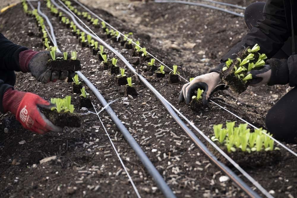 CITIES2030 WP5 WRAP UP SESSION PRESENTATION P40 CITAG 2.jpg