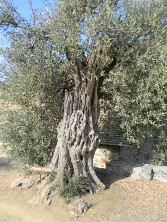 Cities2030_P07_036_KEG Troodos Sustainable Development 7.jpg