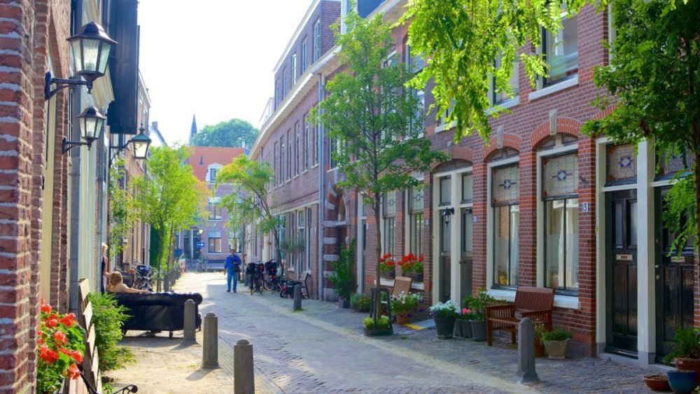78662-Haarlem-Ijmond-And-South-Kennemerland-Region.jpg
