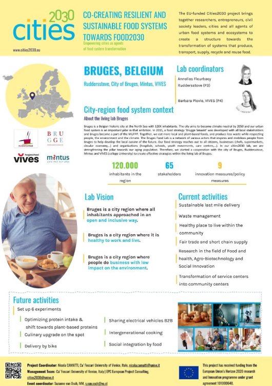 P03 BRUG_P04 VIVES_Lab_Festival_Poster.jpg