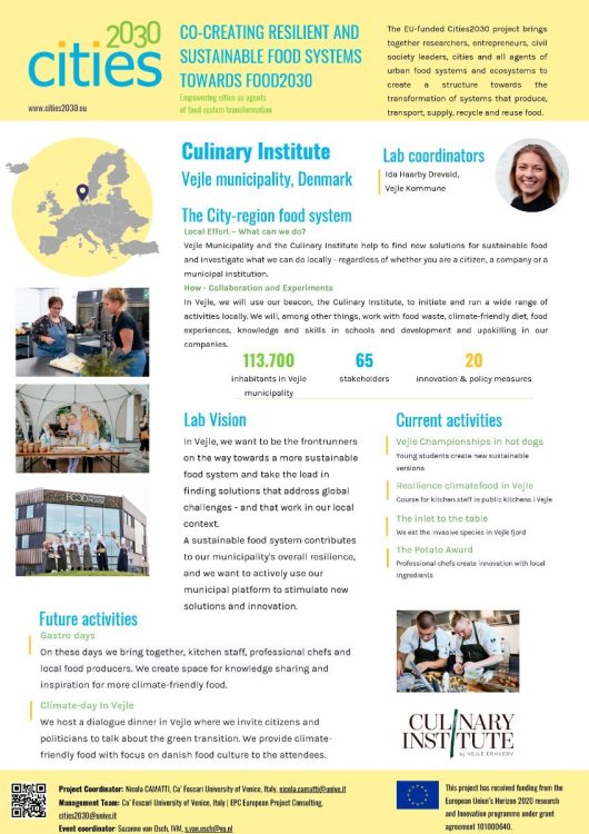 P10 Vejle_Lab_Festival_Poster.jpg