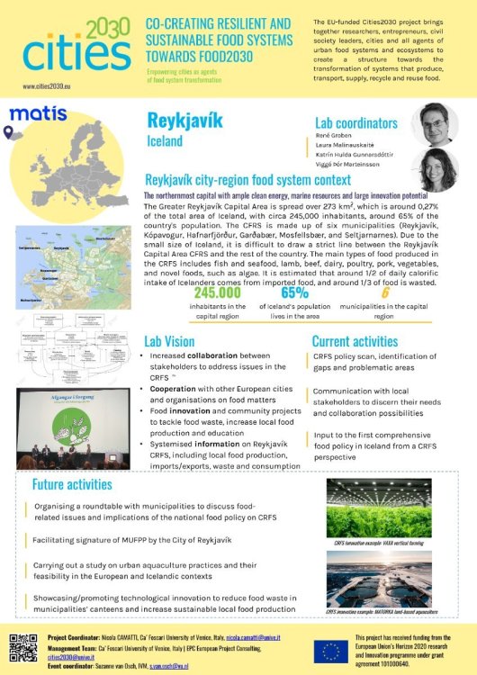 P22 MATIS_Lab_Festival_Poster.jpg