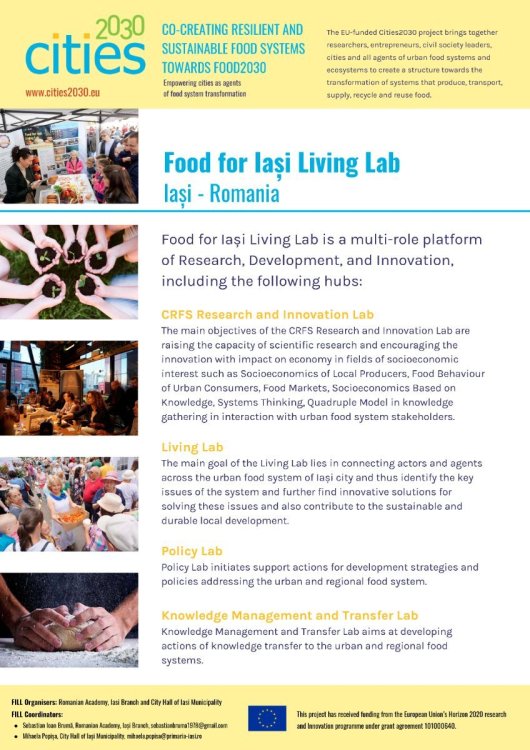 P28 Iasi Lab_Festival_Poster.jpg