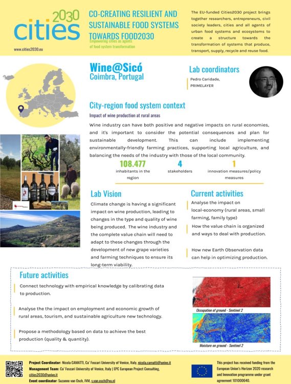 P37 PRIM_Lab_Festival_Poster.jpg