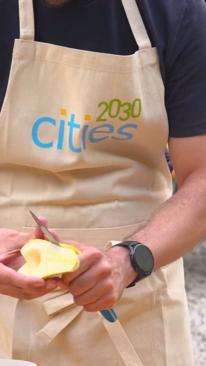 DiscoSalad_Cities2030_7-7-2024 (1).jpeg