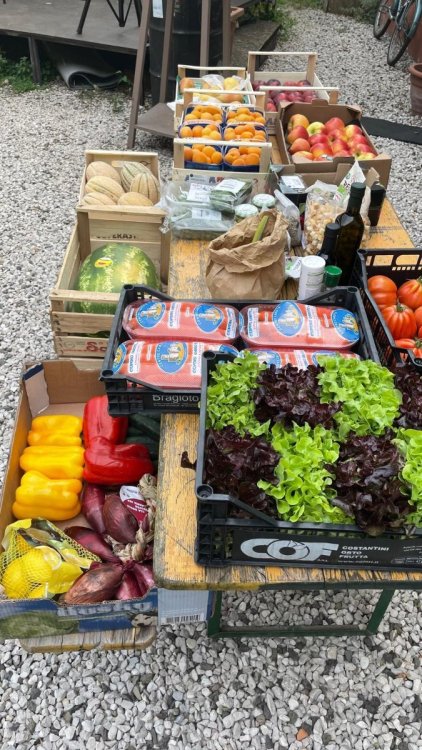 DiscoSalad_Cities2030_7-7-2024 (2).jpeg