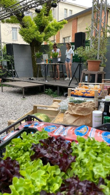 DiscoSalad_Cities2030_7-7-2024 (3).jpeg