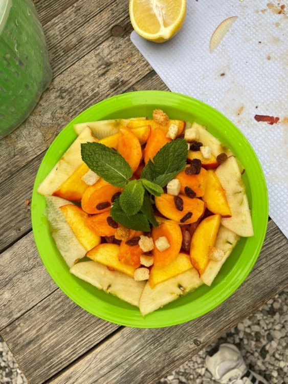 DiscoSalad_Cities2030_7-7-2024 (6).jpeg