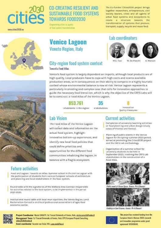 P38 IUAV-Lab_Festival_Poster.jpg