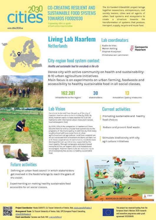 P41 Haarlem_Lab_Festival_Poster.jpg